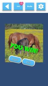 Jigsaw Horses screenshot 14