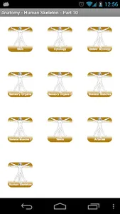 Anatomy - Human Skeleton screenshot 5
