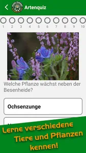 Artenquiz screenshot 1