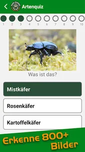 Artenquiz screenshot 3