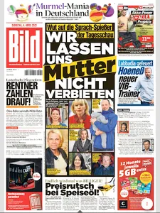 BILD ePaper App screenshot 12