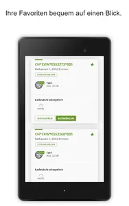 CKW E-Mobilität Access screenshot 14