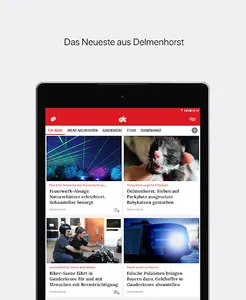 dk News screenshot 4