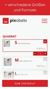 Pixobelo screenshot 3