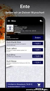 Shiva Aalen screenshot 5