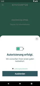ENYCHARGE: Simply authorized screenshot 6
