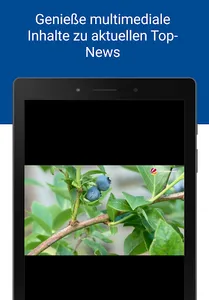 SauerlandKurier screenshot 7