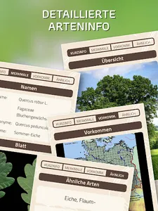 ID-Logics screenshot 11