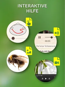 ID-Logics screenshot 23