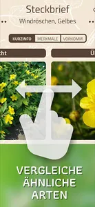 ID-Logics screenshot 6