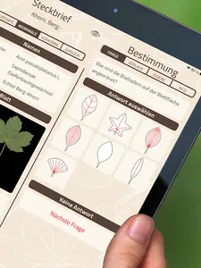 ID-Logics screenshot 9