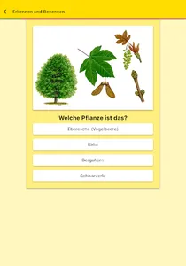 Jagdschein screenshot 7