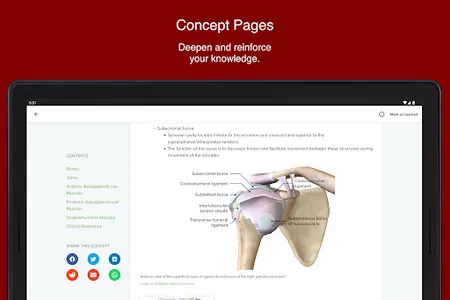 Crown University Lecturio screenshot 10