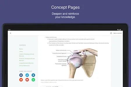 LNF Lecturio screenshot 7