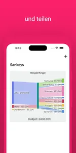 Sankey App screenshot 3