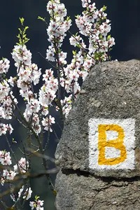 Blütenweg WohlfühlApp screenshot 0