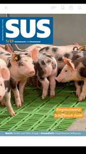 Schweinezucht und Schweinemast screenshot 15