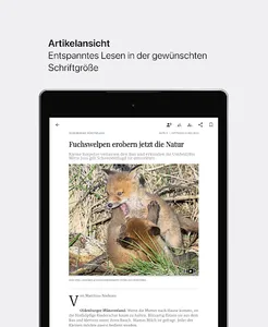 OM-E-Paper screenshot 6