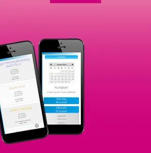 OptiOffice screenshot 1