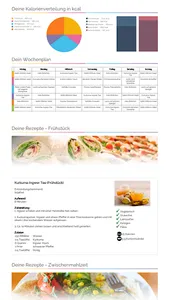 OptiOffice screenshot 14