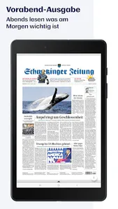 SZ/HTZ E-Paper screenshot 11