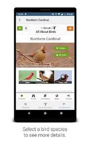 BirdNET screenshot 3