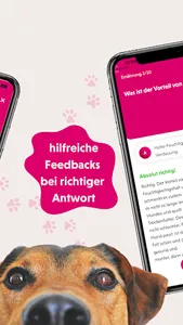 WhatzDogs screenshot 3