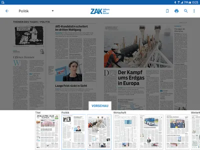 Zollern-Alb-Kurier E-Paper screenshot 8