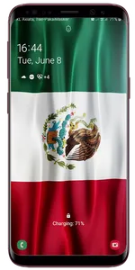 Mexico Flag Live Wallpaper screenshot 11