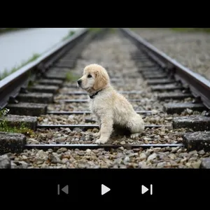 AnExplorer X File Manager screenshot 55