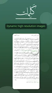 Kalimat Quran & Sunnah Search screenshot 0