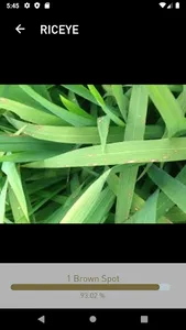 Riceye screenshot 2