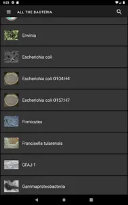 All the bacteria screenshot 10