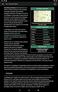 All the bacteria screenshot 7