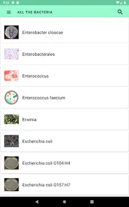 All the bacteria screenshot 8