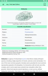 All the bacteria screenshot 9