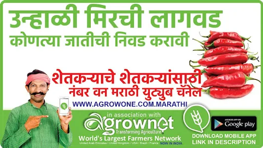 ढोबळी मिरची लागवड #Agrownet™ screenshot 10