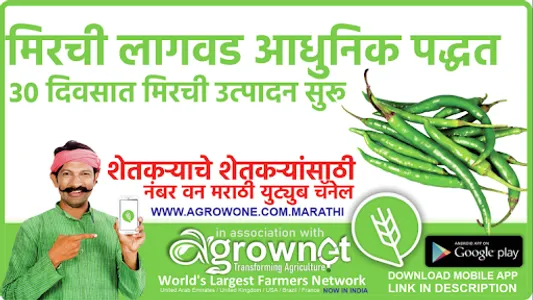 ढोबळी मिरची लागवड #Agrownet™ screenshot 12
