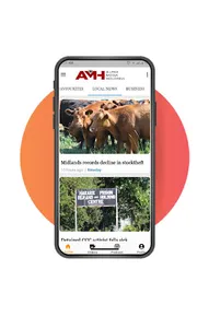 Alpha Media All in One screenshot 12