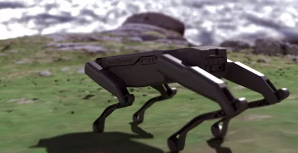 Boar.ai screenshot 0
