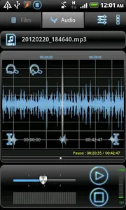 RecForge Pro - Audio Recorder screenshot 2