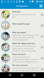 Waterbirth screenshot 1