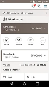 Sparebank 68° Nord screenshot 1