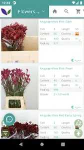 DL Flowers screenshot 2