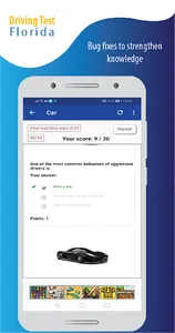 Driving test simulator FL screenshot 6