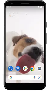 Dog Licks Screen Video Theme screenshot 0