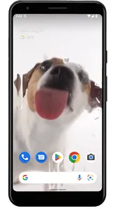 Dog Licks Screen Video Theme screenshot 4