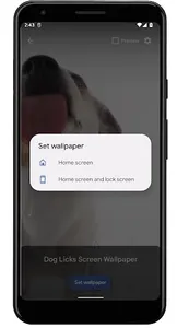 Dog Licks Screen Video Theme screenshot 5