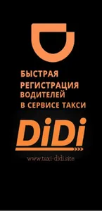 Работа DiDi водитель screenshot 6