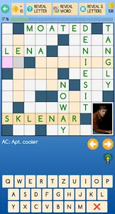 Themed crossword puzzles screenshot 1
